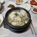 고려옥 | 군산 월명동삼계탕 42년 전통 로컬 맛집 고려옥