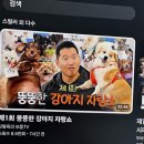 대흥약국 | No호vember