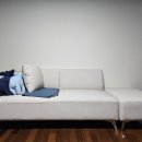 에보니아가구 | 에보니아 루이 2인용 소파 구입 후기_배송팁, 내돈내산 생생 후기