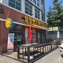 청주용정동애견미용 "힐링펫스테이" 미용 맡긴 솔직후기