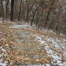 사리울근린공원 이미지