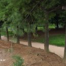 일동라스베가스 공원 이미지