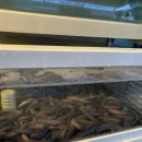 박가화로 | 강남 맛집 | “박가화로 산꼼장어랑 냉동삼겹살” 후기