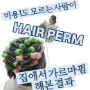 셀프 가르마펌 대성공 후기✂️ㅣ결과사진 있음 (ft. 치니 머리 변신✨) 워터 트리트먼트 추천