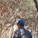 당고개역 북측 이미지