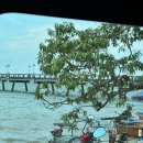 씨너리 | 25년8월 푸켓 DAY4 - 씨너리 럭셔리 카타마란 팡아만 투어 후기(1)