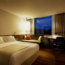 스테이인 호텔 봄 이미지