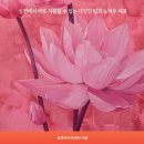 헤어락 이미지