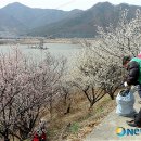 원동면사무소 이미지