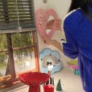 러스틱센트 이미지