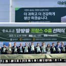 담양2