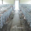 여지축산 네이버블로그