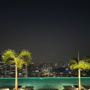 잉글리쉬러닝베이(신월) | 7월. 싱가포르 🇸🇬 ♥
