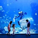 이야기를 담은 우리 유물 이미지