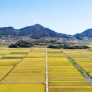 들녘 옷 이미지