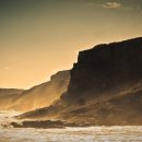 시도푸딩 이미지