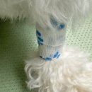 유림동물병원 이미지