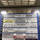 냐냐케이크 | [냐냐] 안산 고잔동 카페 고양이 카페 후기