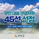 무안 대표 관광자원 45선 선정 ( 9景 [경] )