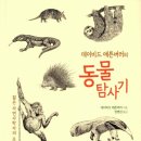 자연사 이미지