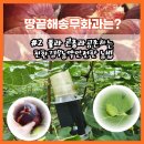 해진영농조합법인 이미지