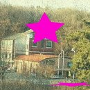 왕초보 여행 영어회화 이미지