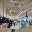 일석이조 | 송도 애니멀 클럽 방문 후기｜동물체험+키즈카페 일석이조