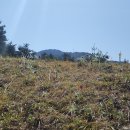 언별2리 이미지