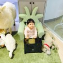 에스뚜디오 | 대구 에스뚜디오 베이비카페 에서 사진 찍고왔어요.