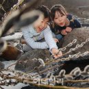 안녕 강아지 이미지