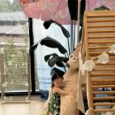 라라논골 이미지