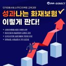 판다다이렉트
