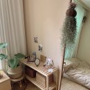 H1510 | &#39;원룸&#39;과 &#39;좁은 방&#39;에도 문제없어요! 고객 후기로 보는 슬림 전신거울 인테리어