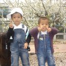 기현이네 이미지