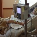 연서동물종합병원 | 은평구 병원 대조동물종합병원 상담부터 치료까지의 과정은 매우 원활