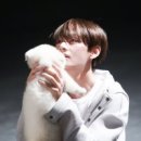 태형 Daum카페