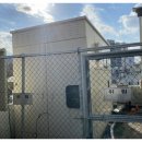 호박꽃식품 이미지