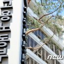 코드잇 평생교육원 뉴스1