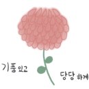 장기플라워