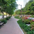 해운대 중동 금호어울림 아파트 이미지