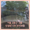 서울 강동구 건물 인접된 나무 전지작업 전문 업체