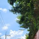 (주)노크노크 이미지