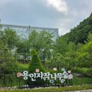 백암수정분교 | [용인 가볼만한곳] 반려동물 동반 나들이/ 베툴라 베이커리카페/ ' 용인자작나무숲 ' 솔직후기