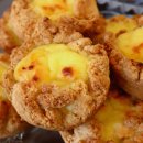 영주시자원봉사센터 | 2025 영주 소백산철쭉제 일정 및 꿀팁 총정리(+주차장, 기본정보)