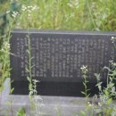 임정식 정려 Daum카페