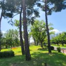 평화공원 쪽 이미지