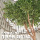 인천초은초등학교 이미지