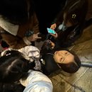 속시원한 토익펀치 RC 1 | 진짜 시작합니다~