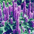 대륙허브 이미지