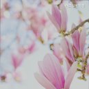 아리실 | 거동 힘드신 부모님 계시다면 처인구 추천 요양원 아리실복지원 부모님을 위한 선택